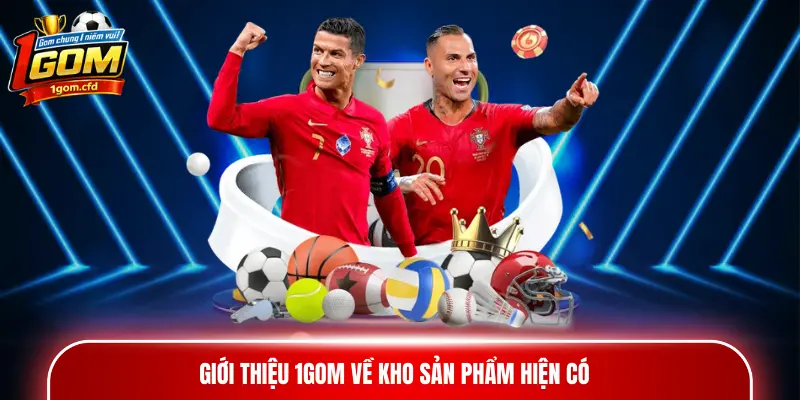 Giới thiệu 1gom về kho sản phẩm hiện có
